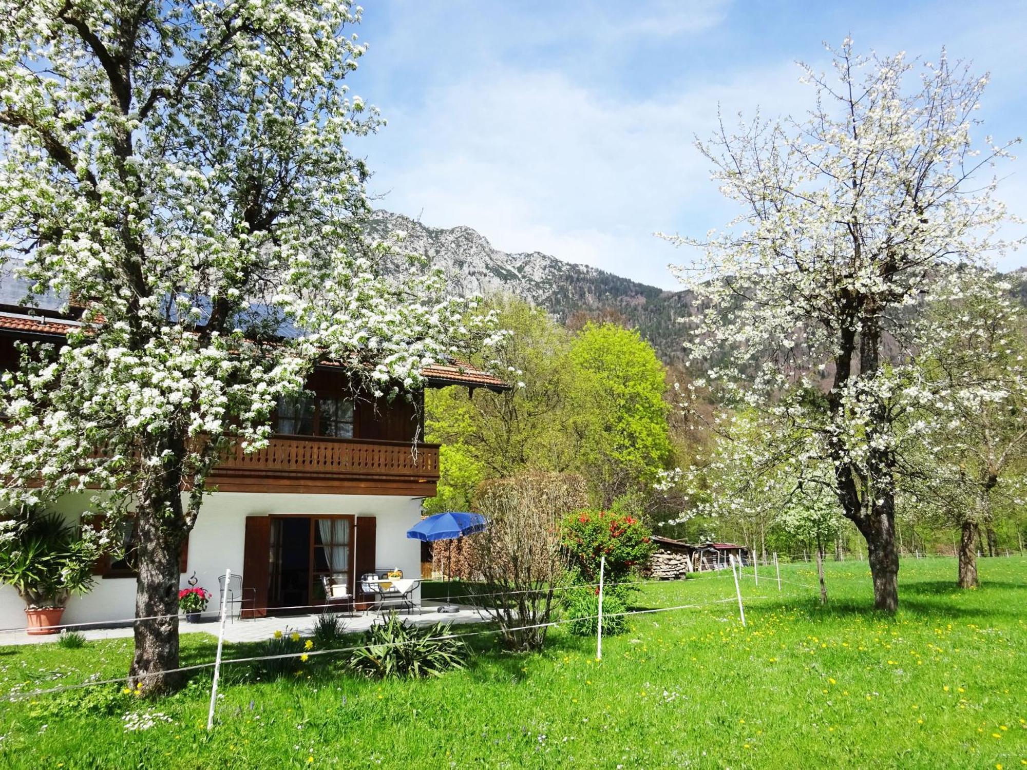 Ferienwohnungen Auhaus Bad Reichenhall Exterior photo